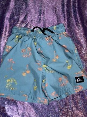 Boys QuickSilver Swim Trunks